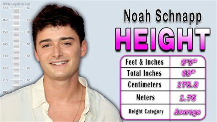 Noah Schnapp Height, Biography, Wiki, Age, Girlfriend, Net Worth