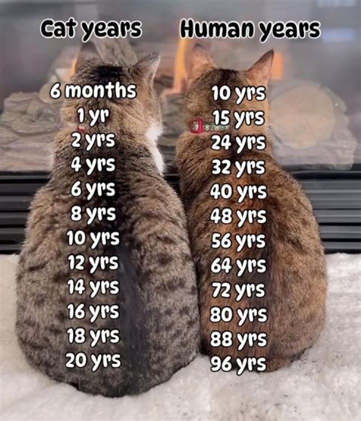 Seanic Twitch Age: How Old is He?