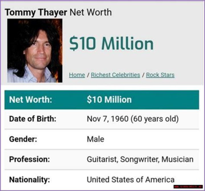 Tommy Stinson Net Worth, Income, Salary, Earnings, Biography