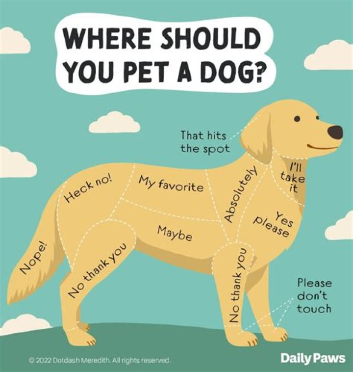 What dog does Martin Kemp have?