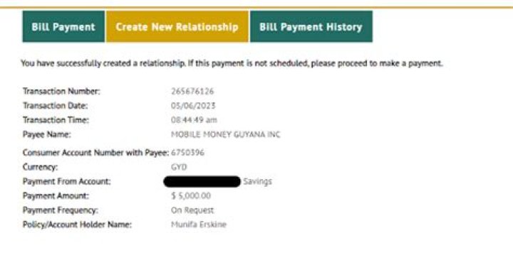 What is nbs facts payment