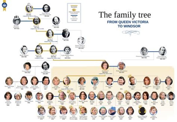Who Are Alpha Diop And Alissa Holder, Ayaan Diop Parents? Family Tree