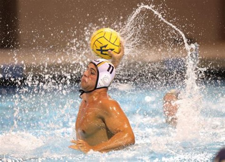Who Is UC Davis Water Polo Coach Daniel Noble And Why Is He Arrested?
