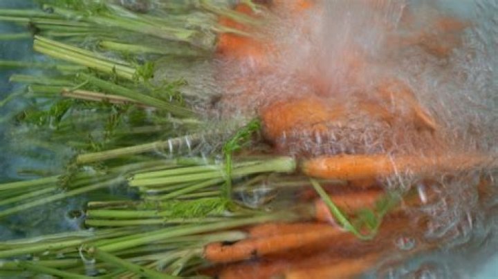 Why are baby carrots soaked in chlorine